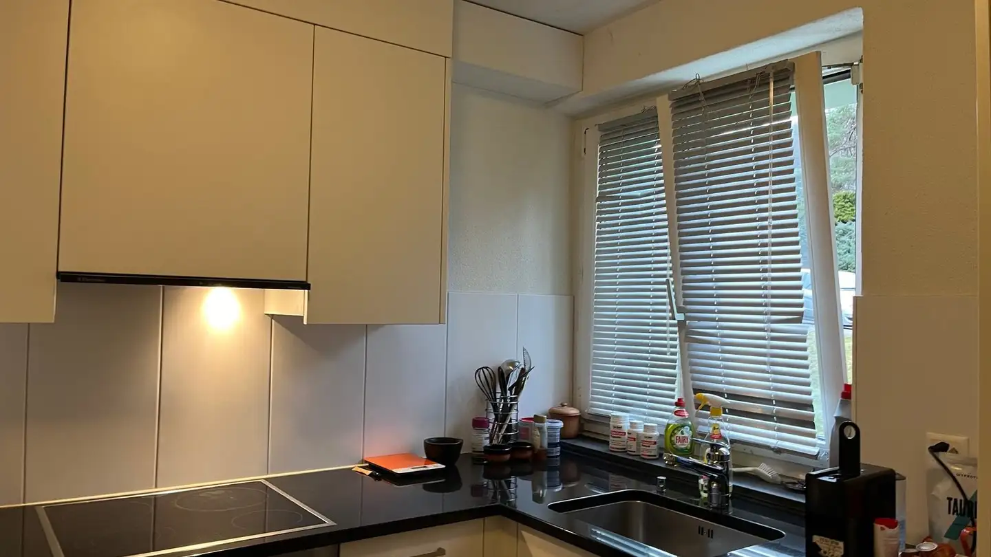 Single room for rent - Alte Hedingerstrasse 45, 8910 Affoltern am Albis - Photo 3