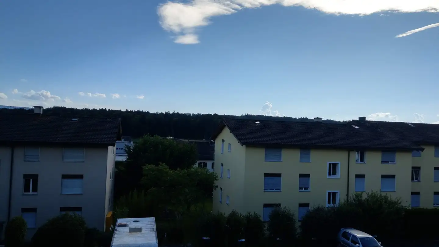 Appartement à louer - Engeloostrasse 5, 5621 Zufikon