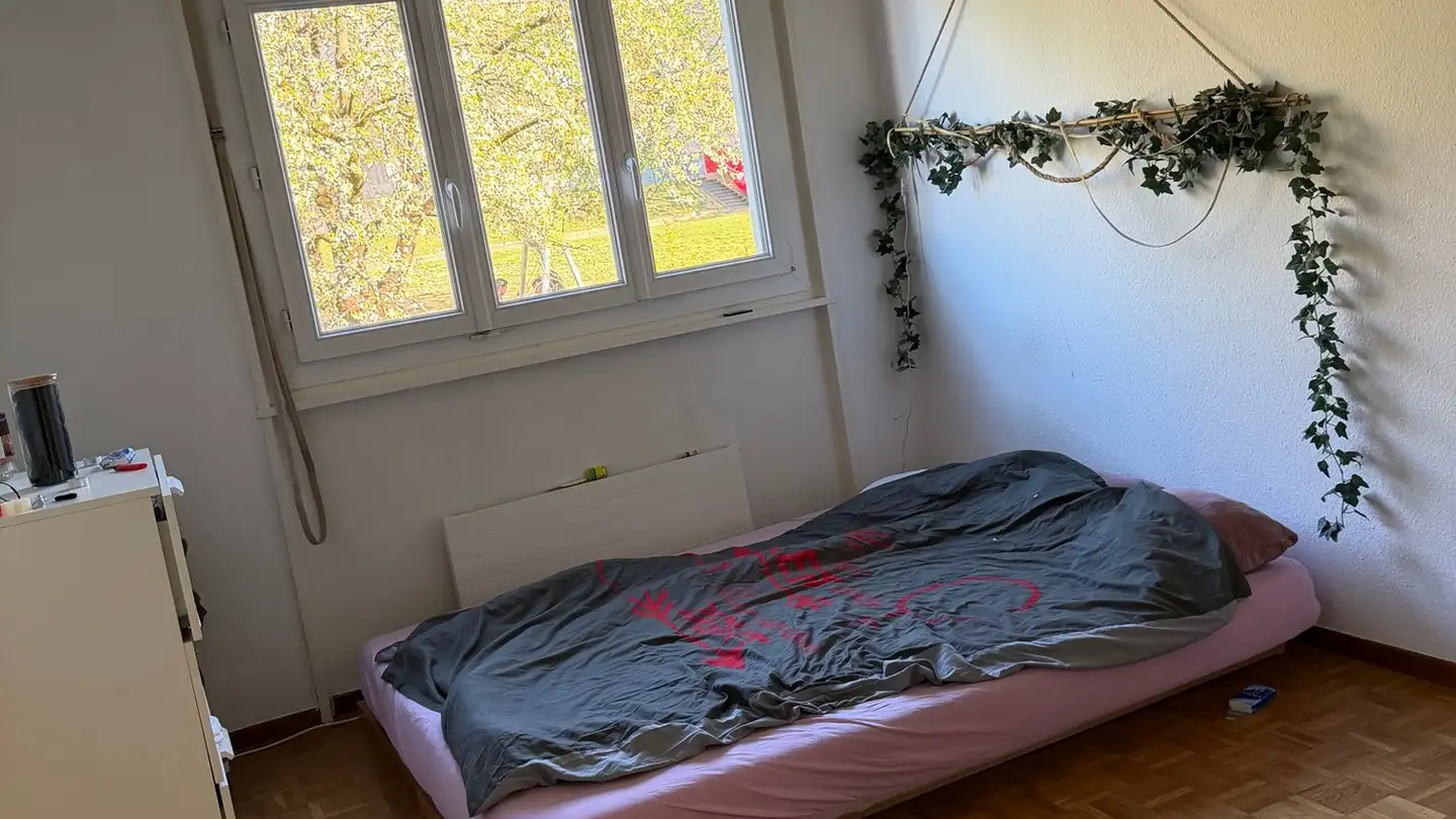 Appartamento in affitto - 1218 Le Grand-Saconnex - Foto 3