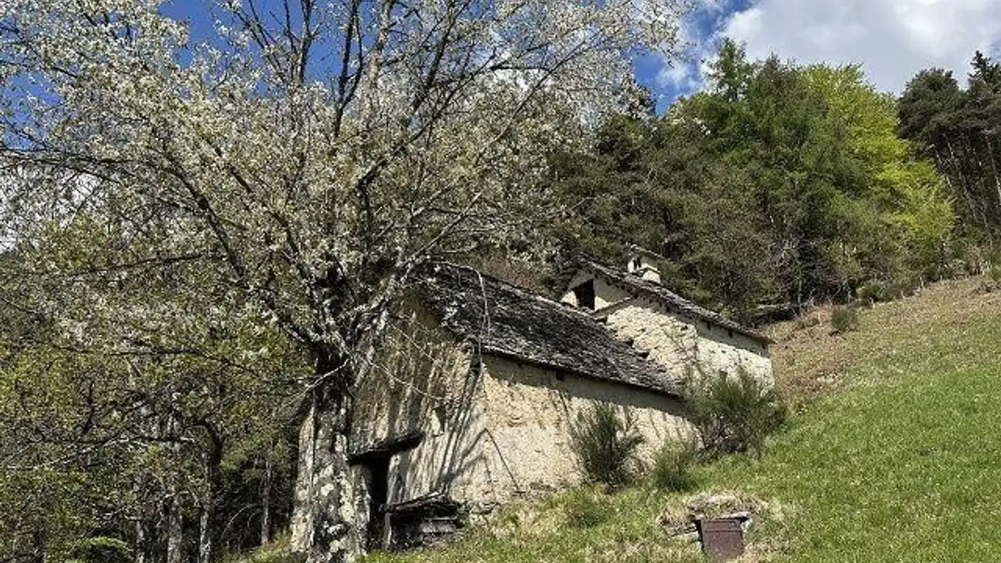 Maison à vendre - 6816 Bissone