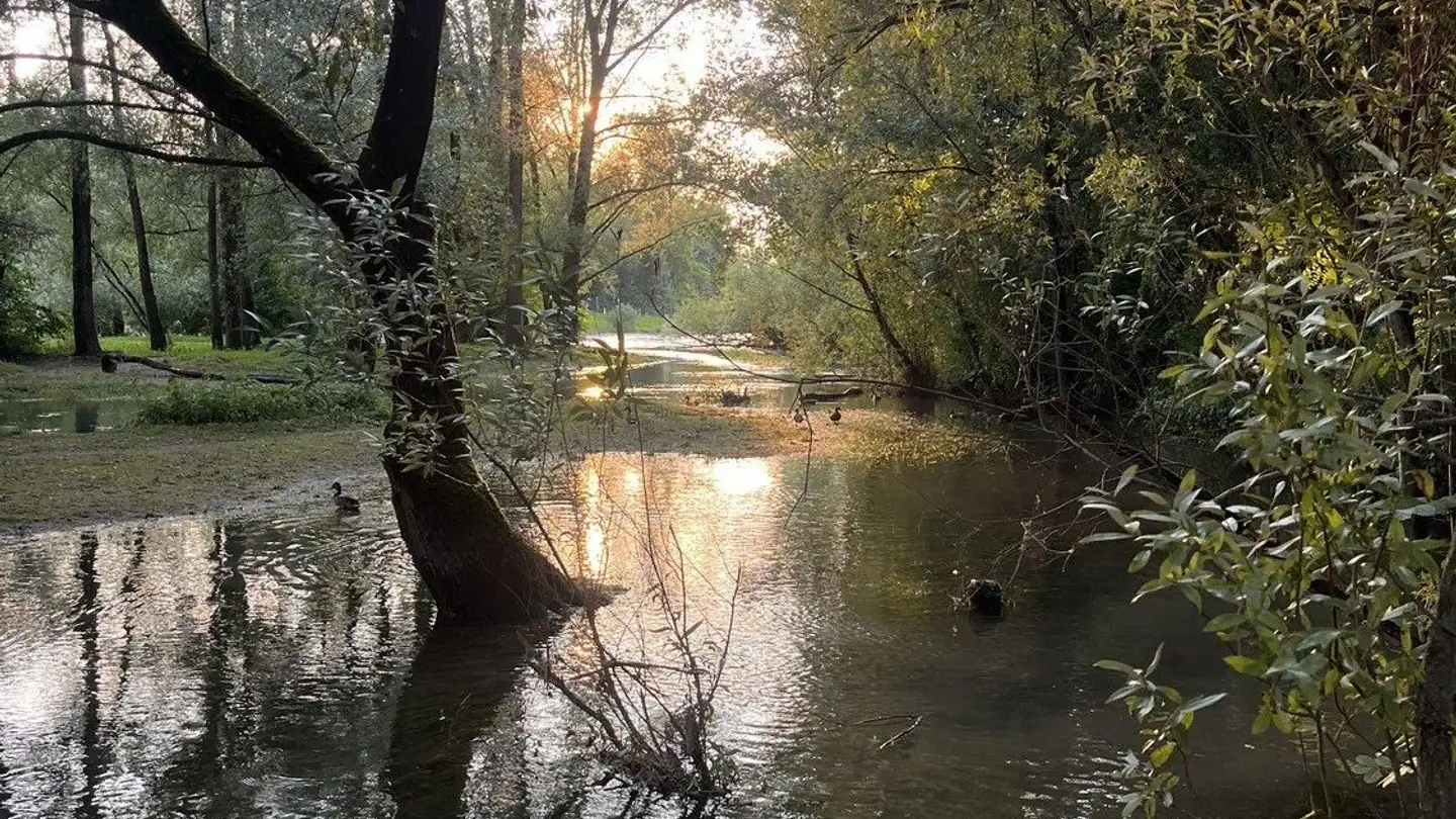 Stanza singola in affitto - Winzerhalde 32, 8049 Zürich - Foto 4