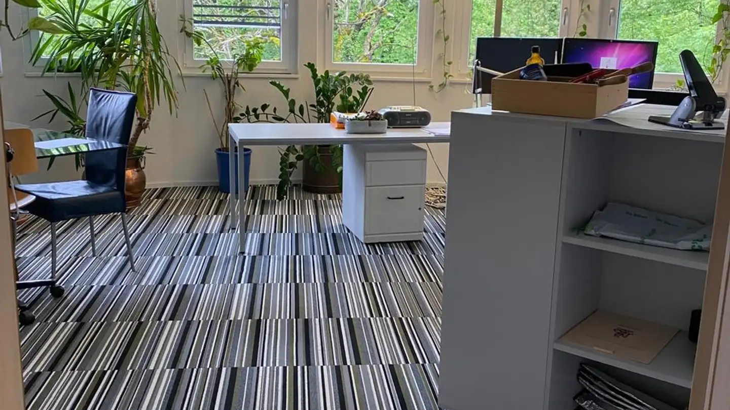 Gewerbe mieten - 1816 Chailly-Montreux