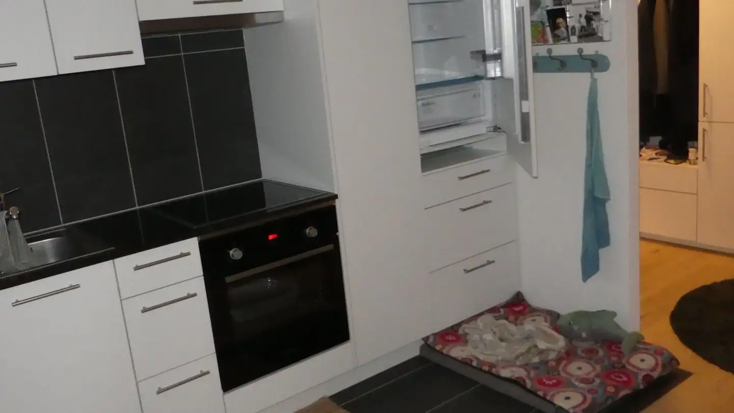 Apartment for rent - Dahliaweg 14, 3004 Bern - Photo 3