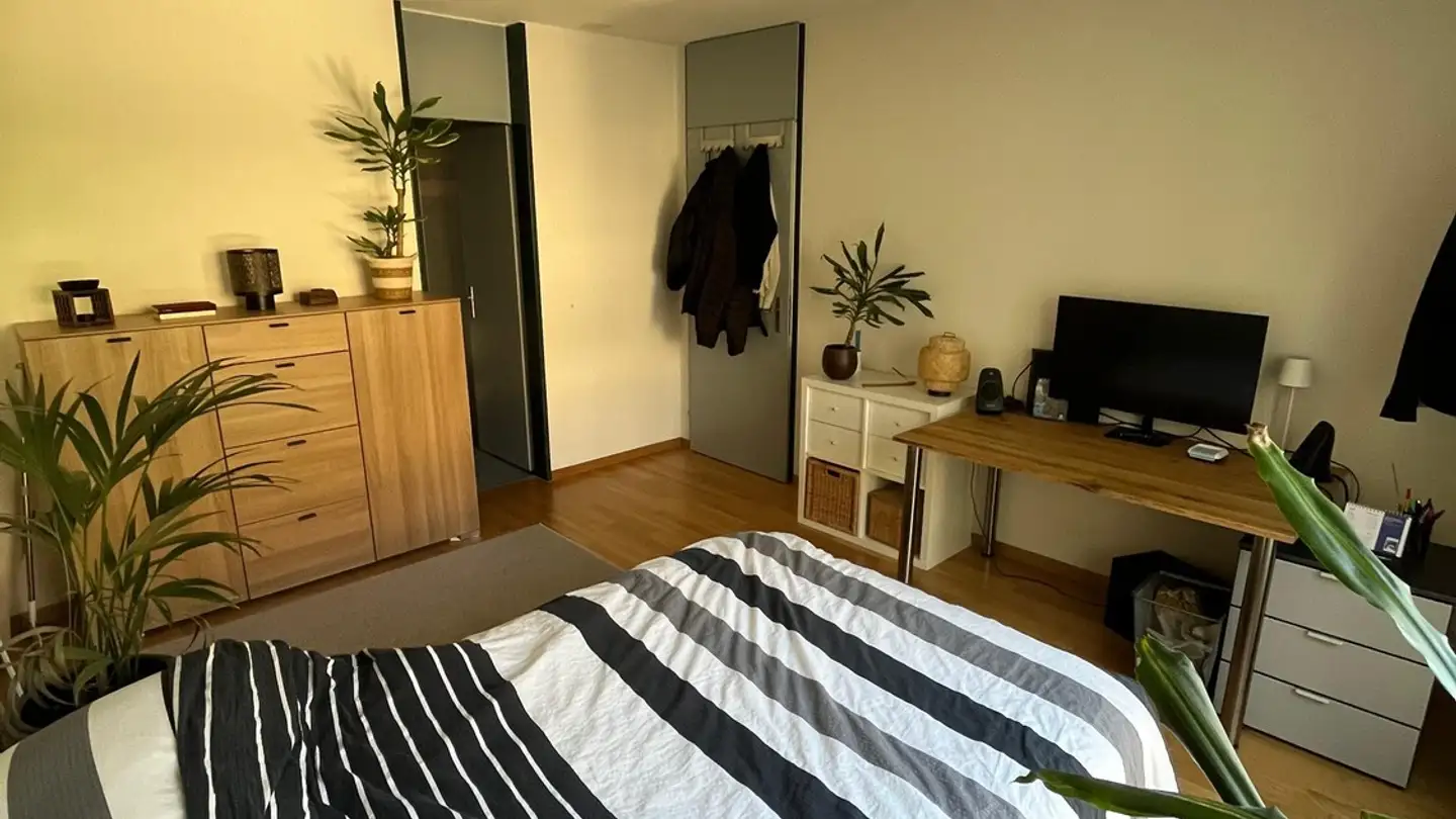 Single room for rent - Sulgenauweg 31, 3007 Bern - Photo 2