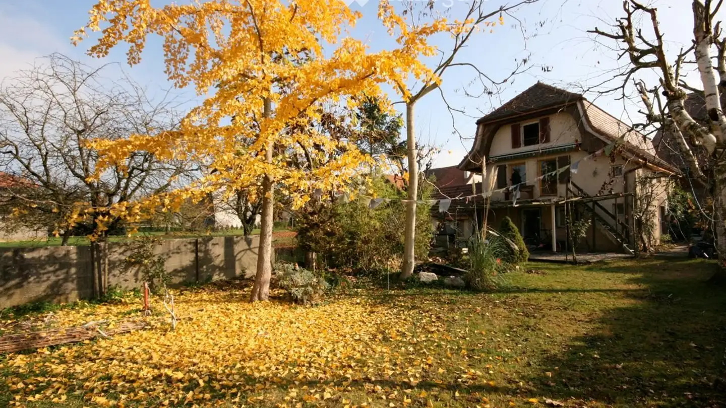 Casa singola in affitto - Ruelle De La Forge 3, 1545 Chevroux