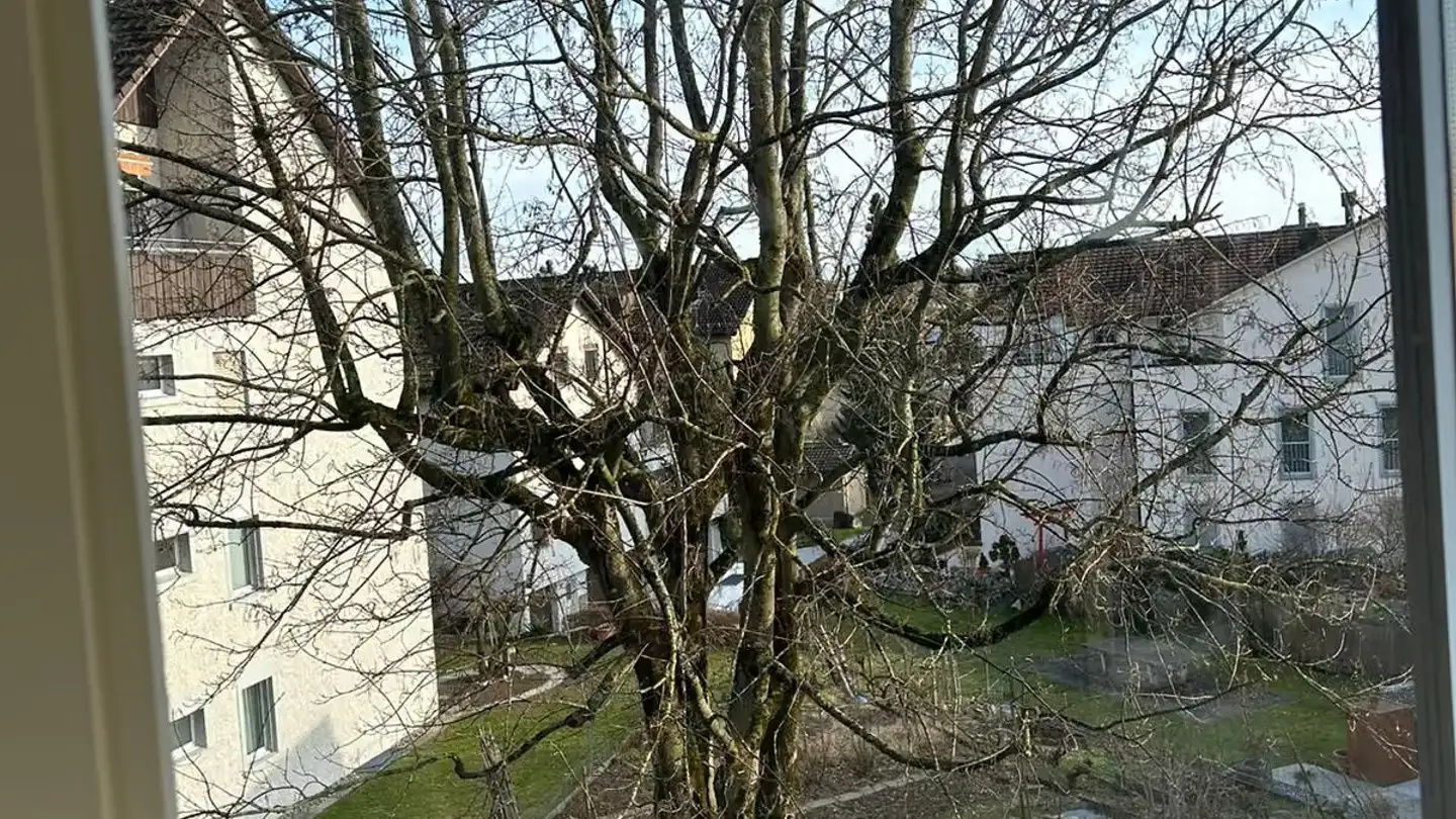 Attico in affitto - Im Talacher 22, 8306 Brüttisellen - Foto 4