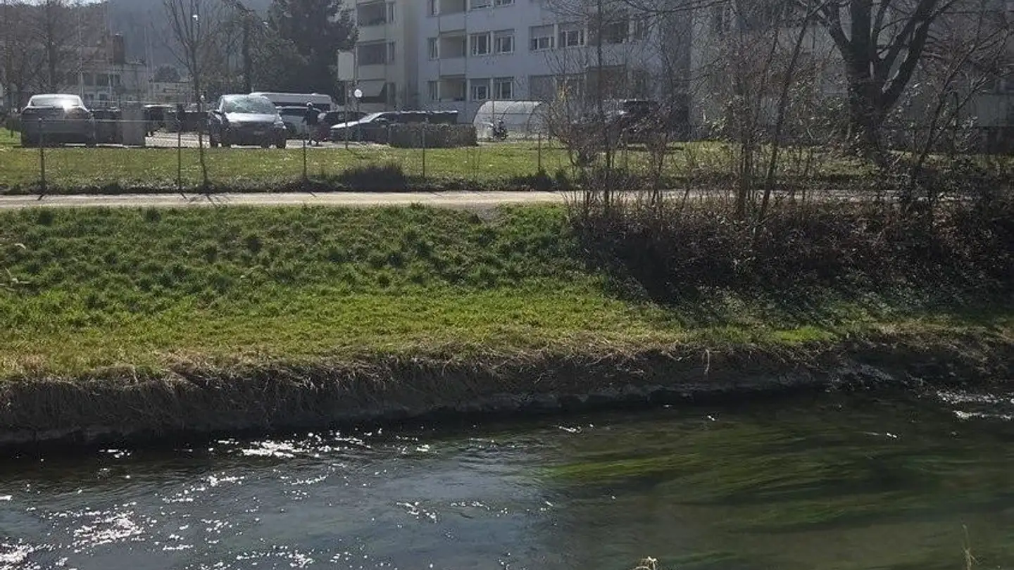 Wohnung mieten - 8051 Zürich