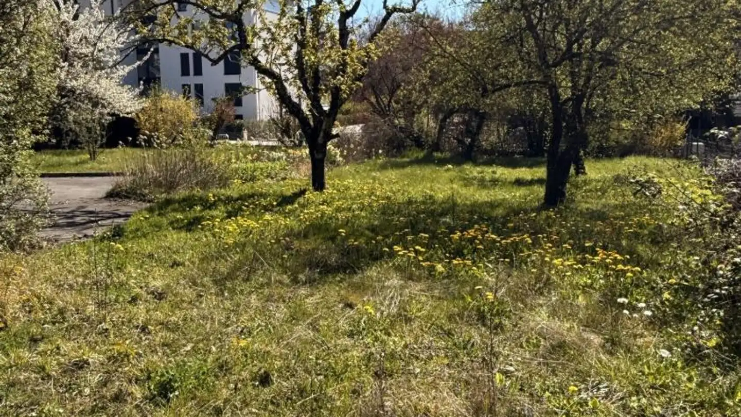 Einfamilienhaus kaufen - Chemin Monastier 7, 1260 Nyon