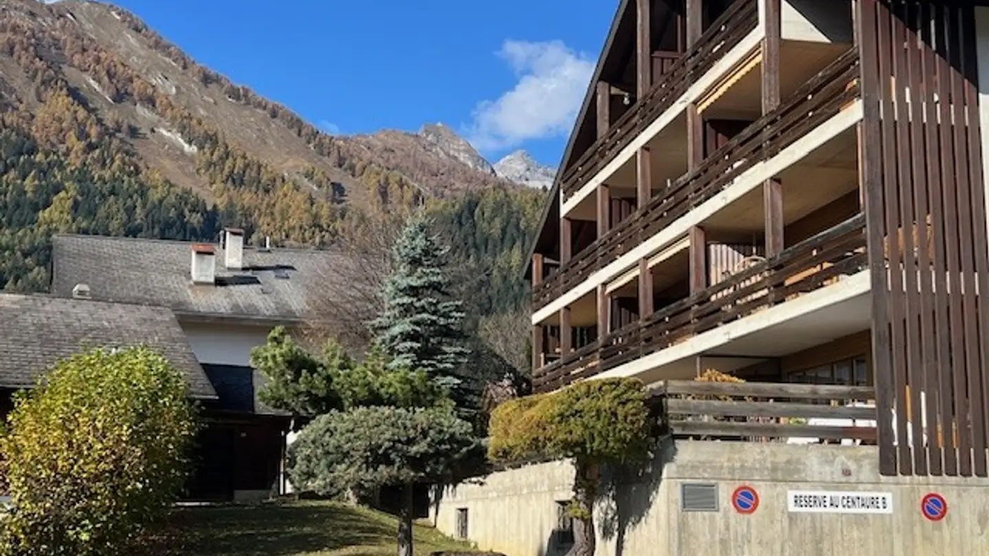 Appartement à vendre - Route Des Bains 133, 1911 Ovronnaz - Photo 4