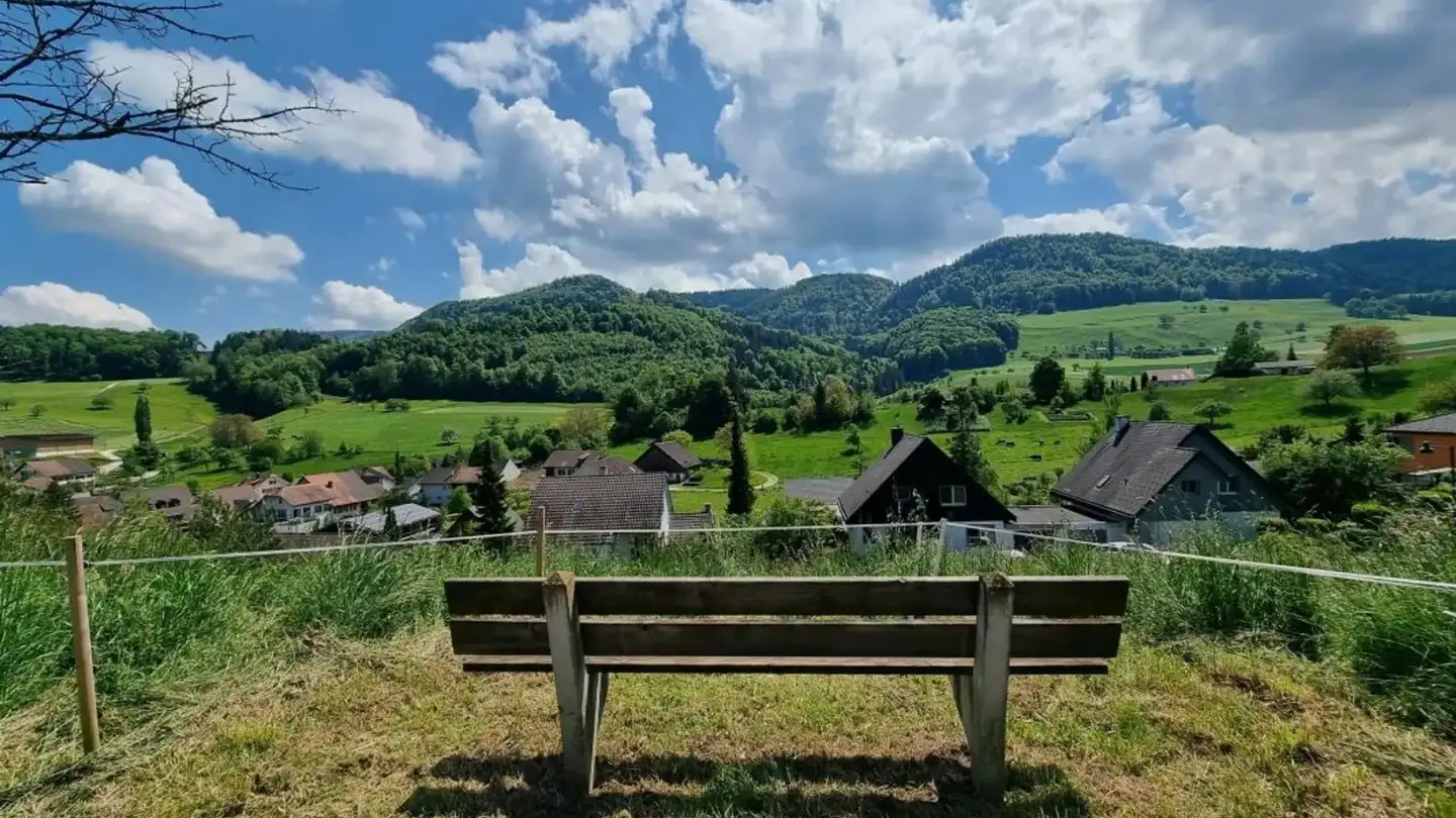 Terreno edificabile in vendita - Fluhgasse, 4207 Bretzwil - Foto 3