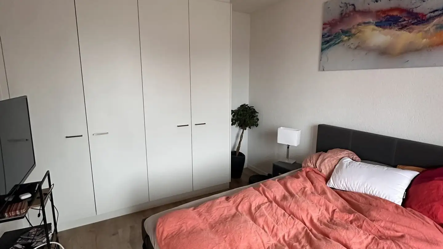 Möblierte Wohnung mieten - Bahnhofstrasse, 8965 Berikon - Foto 4