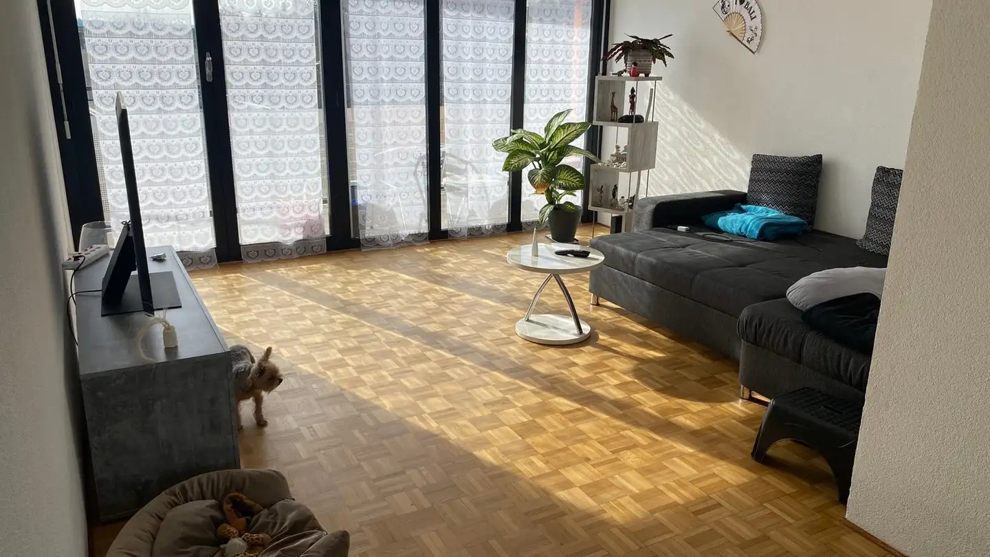 Appartamento in affitto - Via Sottobisio 12a, 6828 Balerna