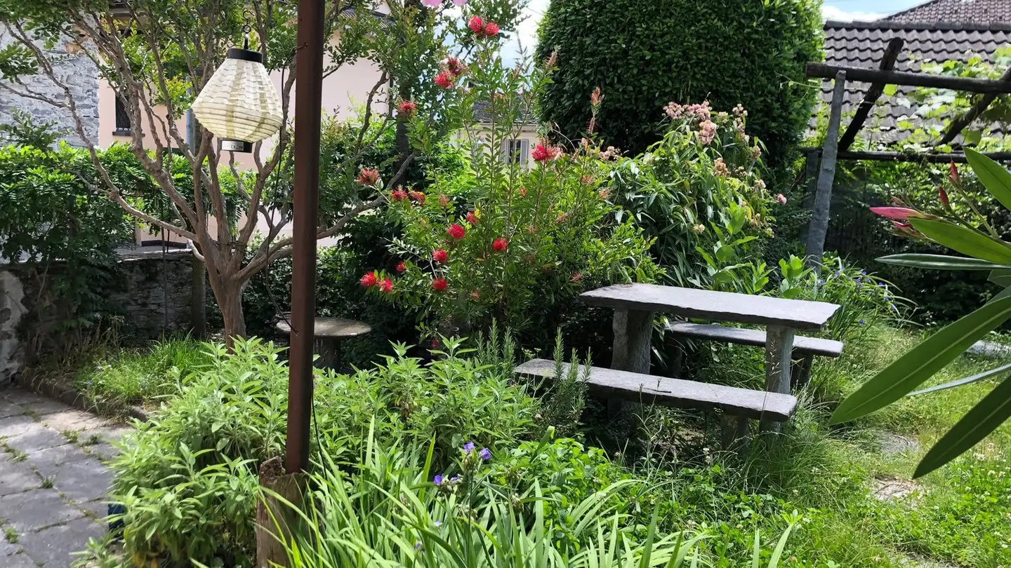 Casa singola in affitto - 6600 Locarno - Photo 4