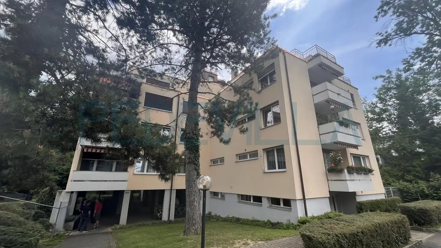 Appartement à louer - Rue Des Prés / Mattenstrasse 80h, 2503 Biel/Bienne