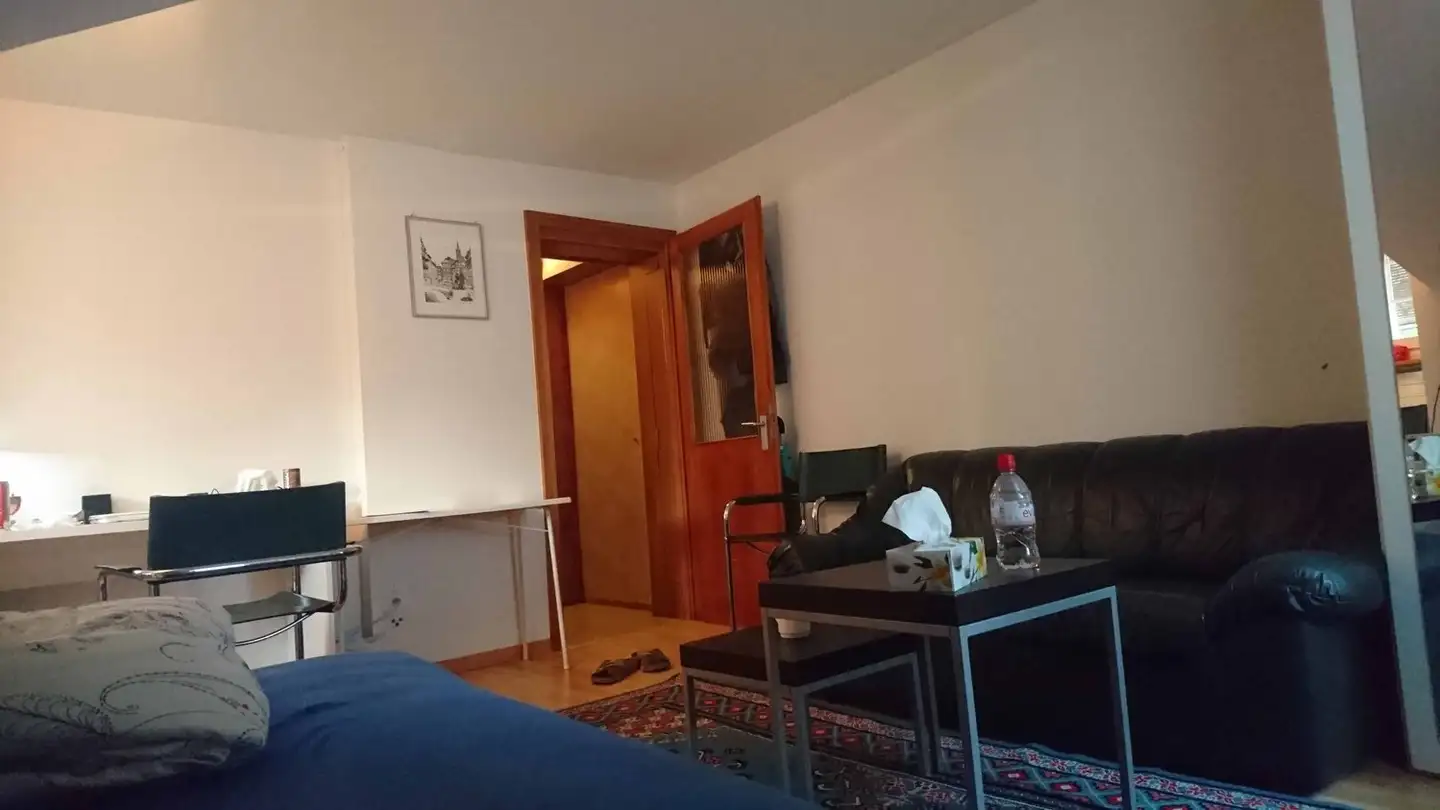 Studio in affitto - Heinestrasse 1, 9008 St. Gallen - Photo 3