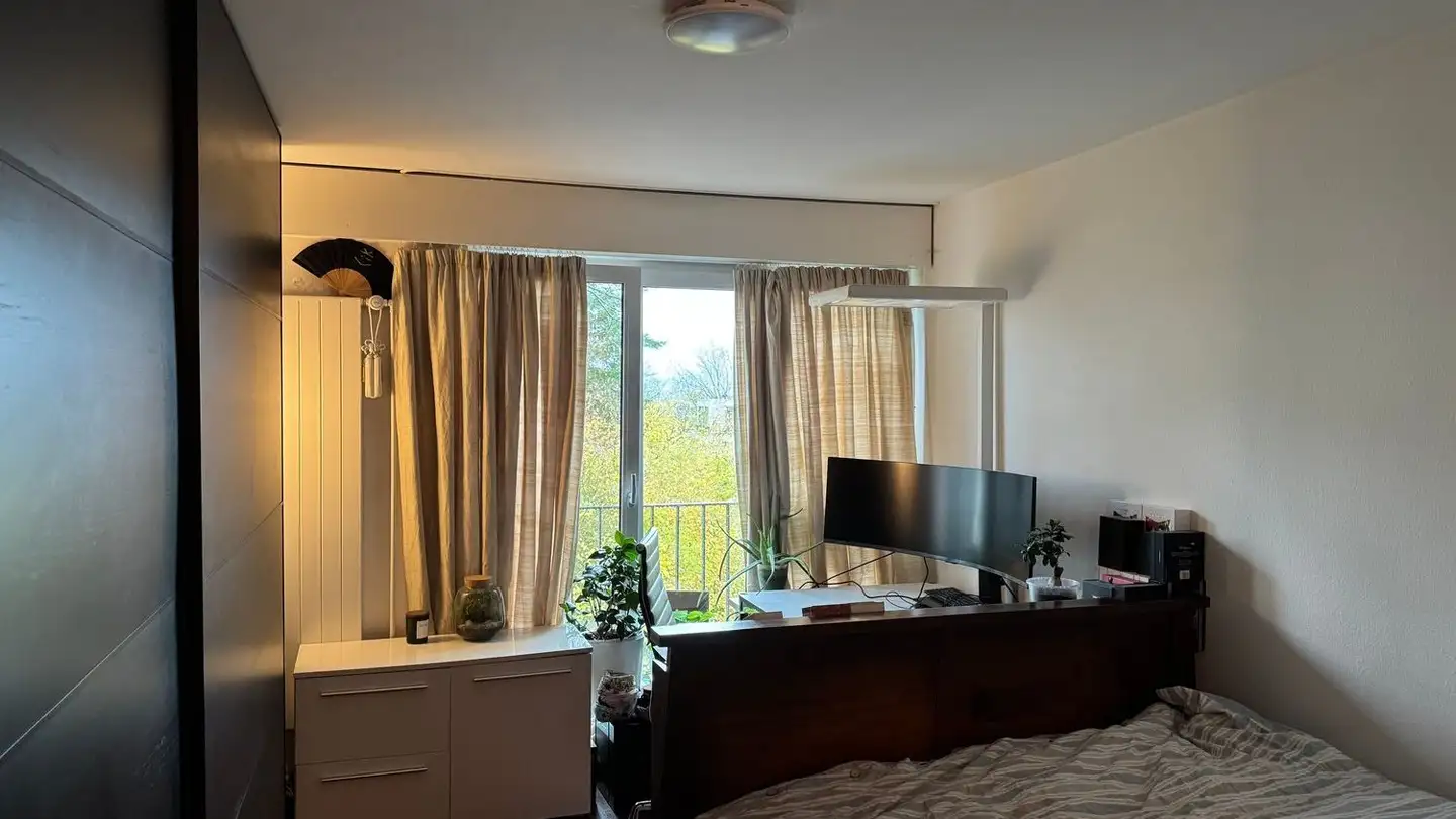 Studio in affitto - Witelliker Strasse 60, 8008 Zürich