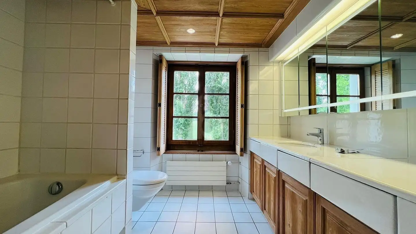 Duplex in affitto - 4123 Allschwil - Foto 4