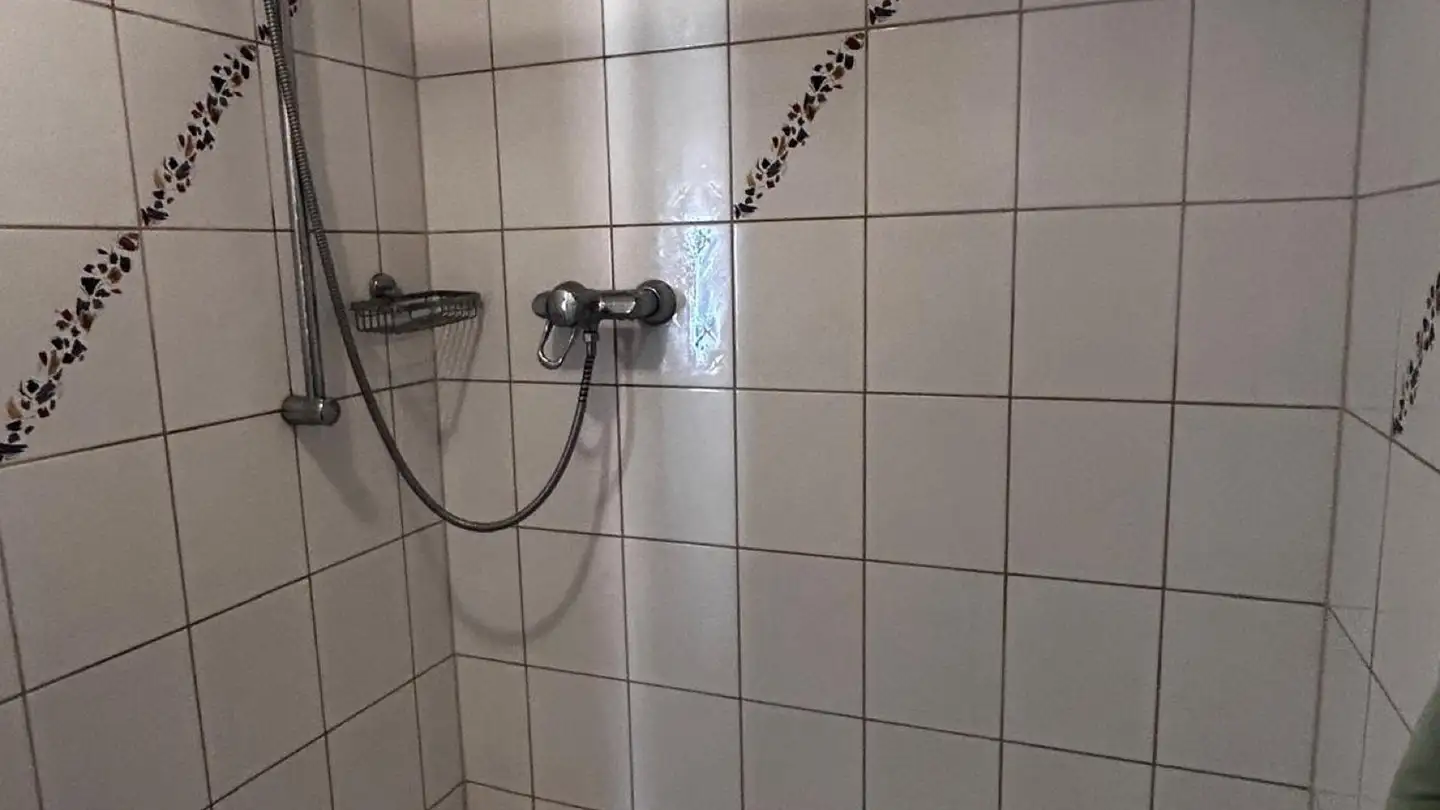 Wohnung mieten - Insstrasse 44, 3236 Gampelen - Foto 4