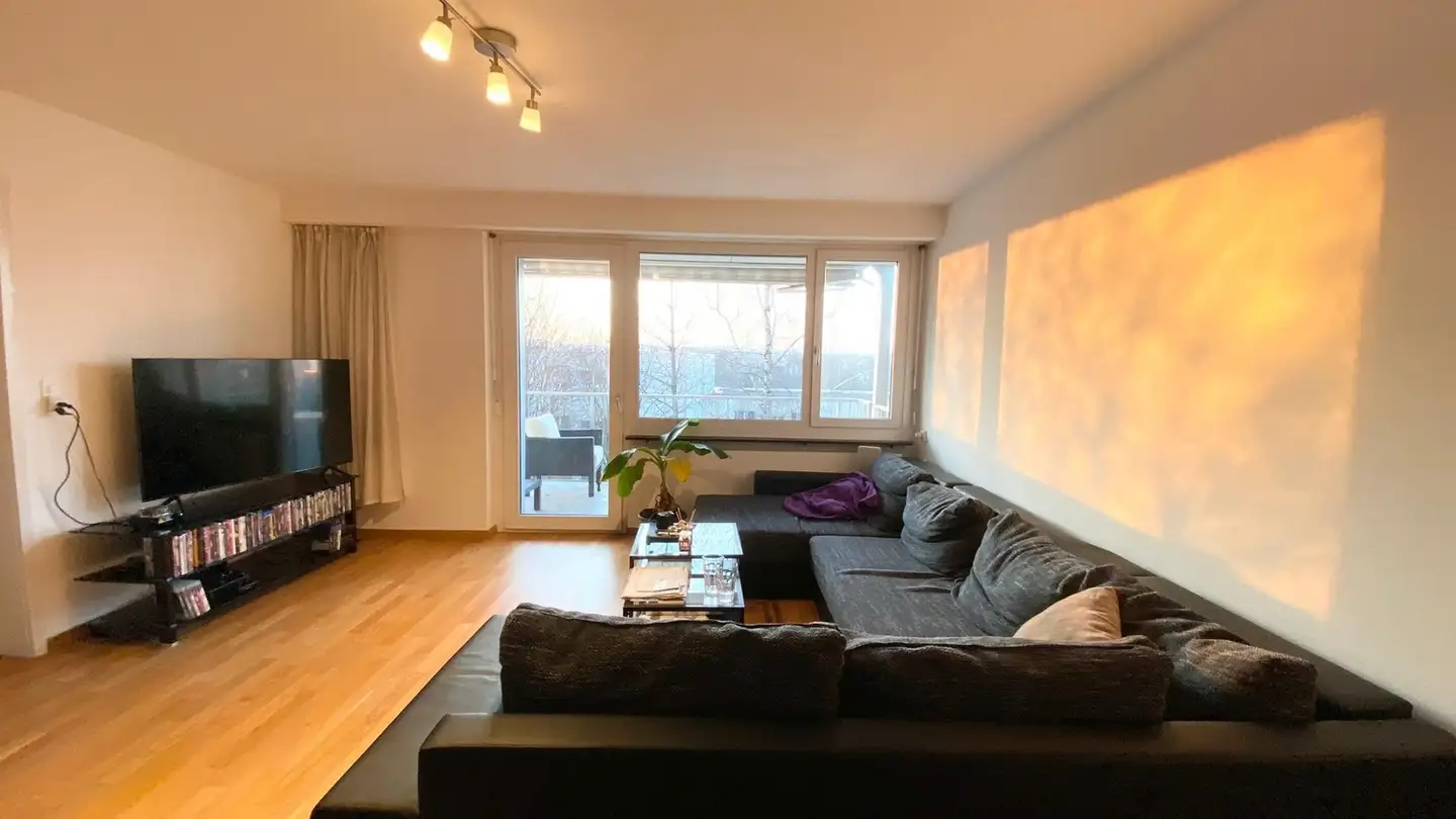 Chambre à louer - Rietgrabenstrasse, 8152 Opfikon
