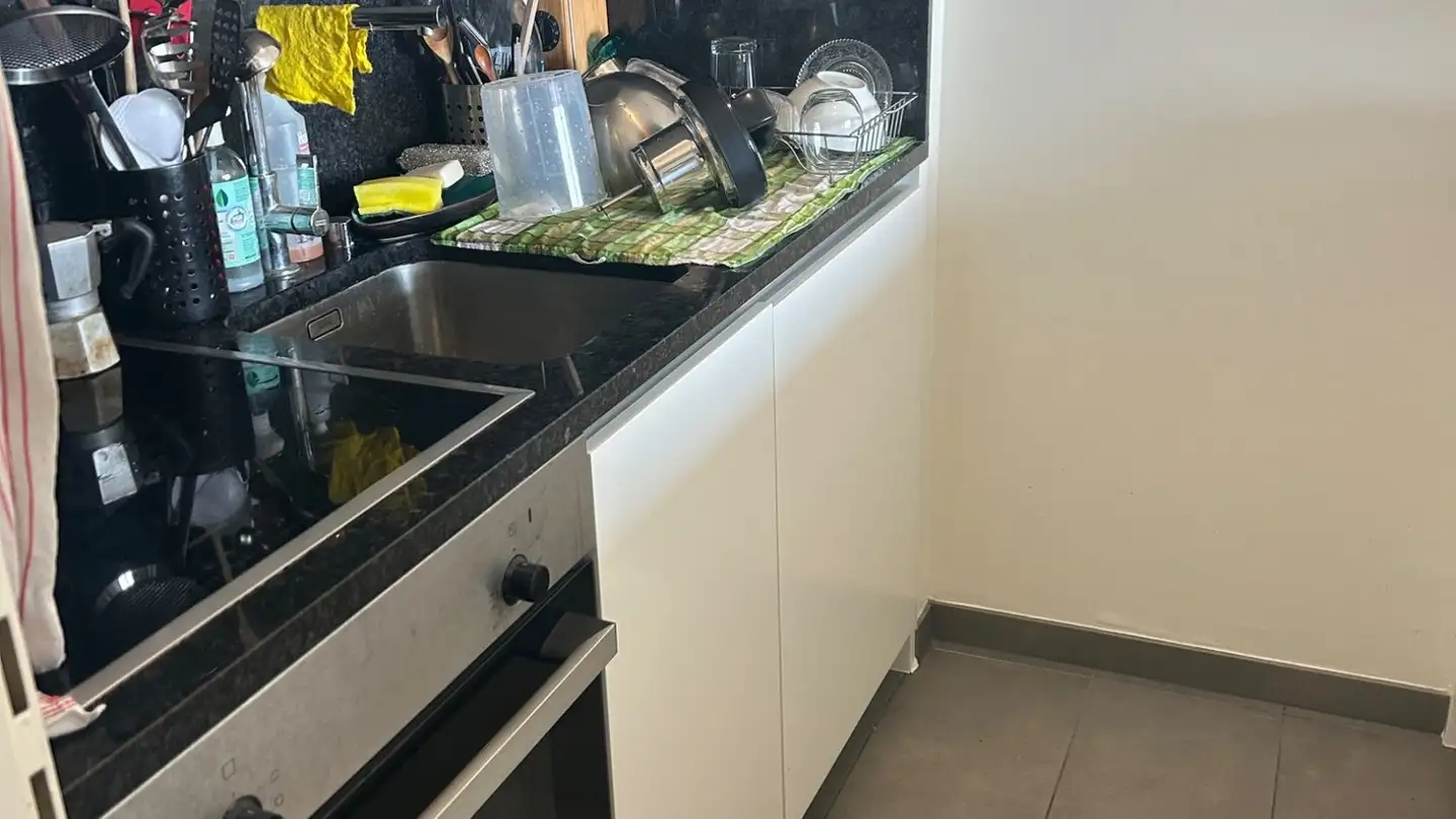 Apartment for rent - Chemin Isabelle-De-Montolieu, 1010 Lausanne - Photo 3