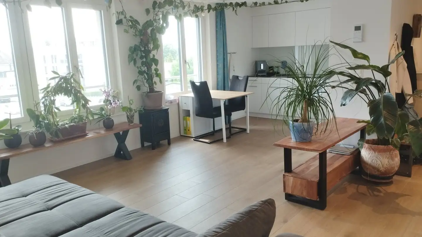 Wohnung mieten - In Der Gass 8, 8340 Hinwil