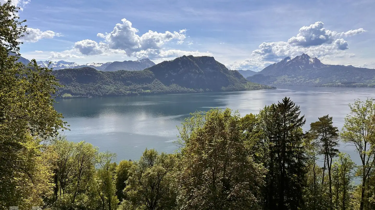 Casa singola in vendita - 6353 Weggis