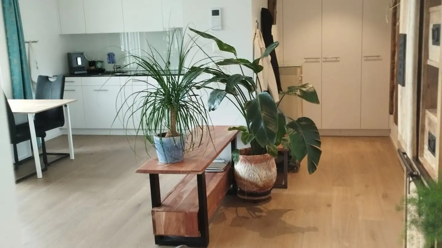 Appartamento in affitto - In Der Gass 8, 8340 Hinwil - Photo 3