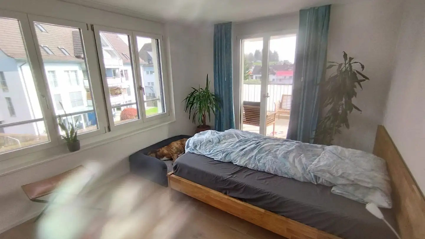 Appartamento in affitto - In Der Gass 8, 8340 Hinwil - Photo 4