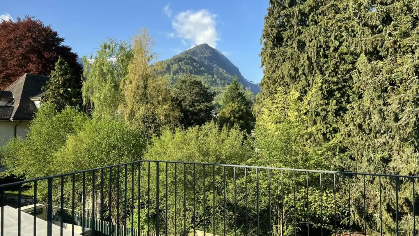 Apartment for rent - Jungfraustrasse 83, 3800 Interlaken - Photo 4