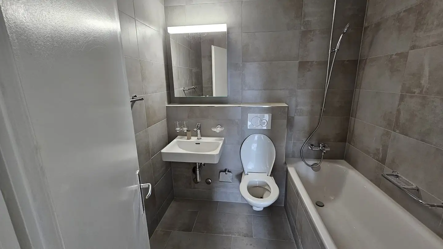 Penthouse for rent - Hegenheimerstrasse 64, 4055 Basel - Photo 4