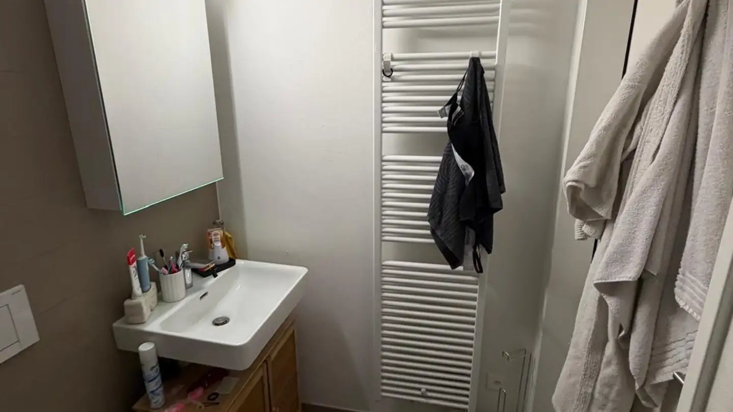 Wohnung mieten - 8953 Dietikon