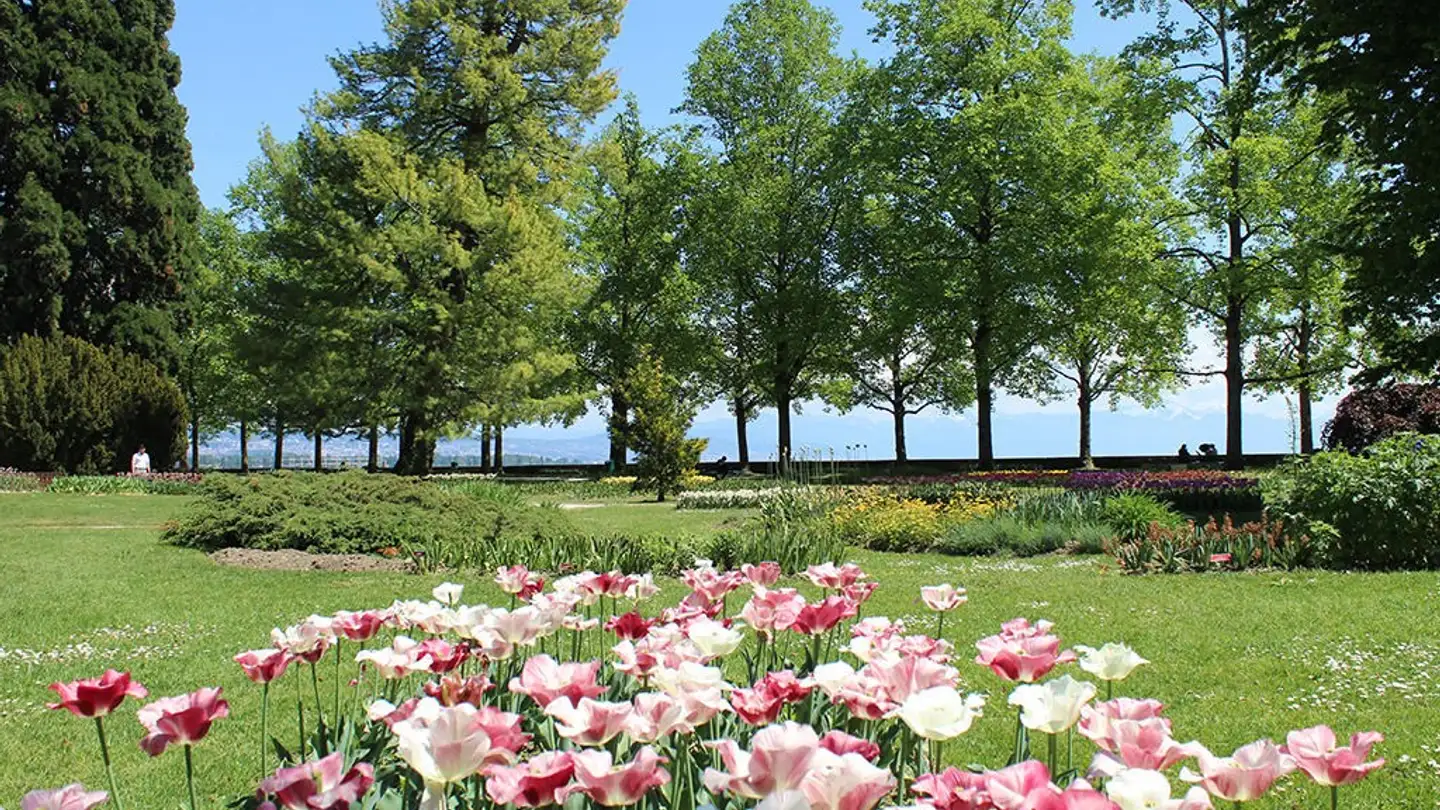 Duplex for sale - 1110 Morges