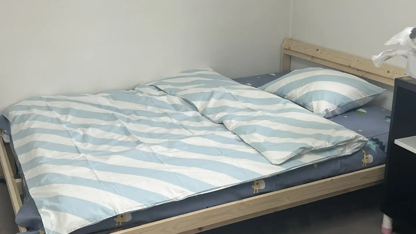 Single room for rent - Altwiesenstrasse 97, 8051 Zürich
