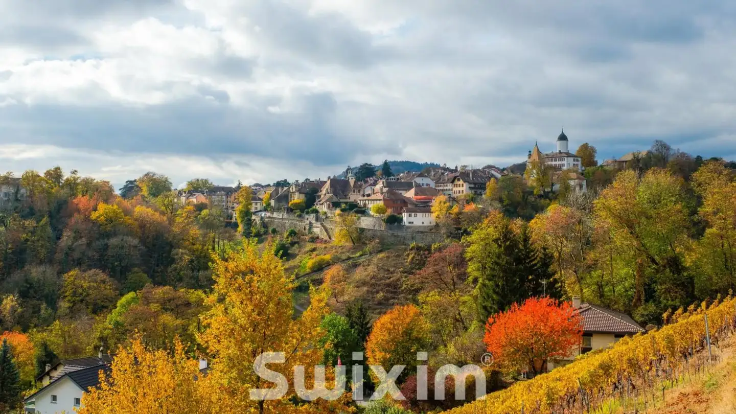 Casa singola in affitto - 1170 Aubonne