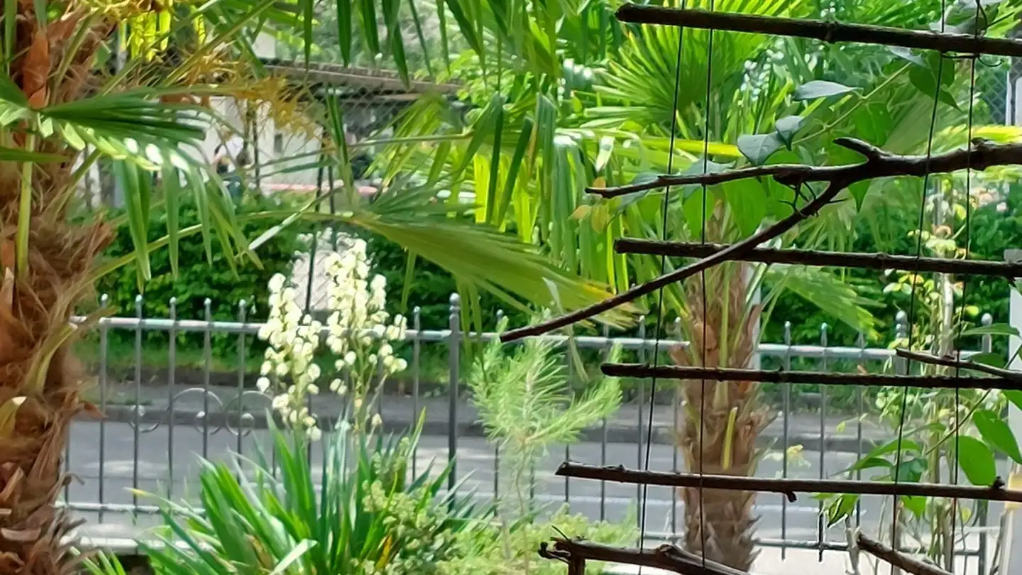 Zimmer mieten - 8180 Bülach - Foto 4