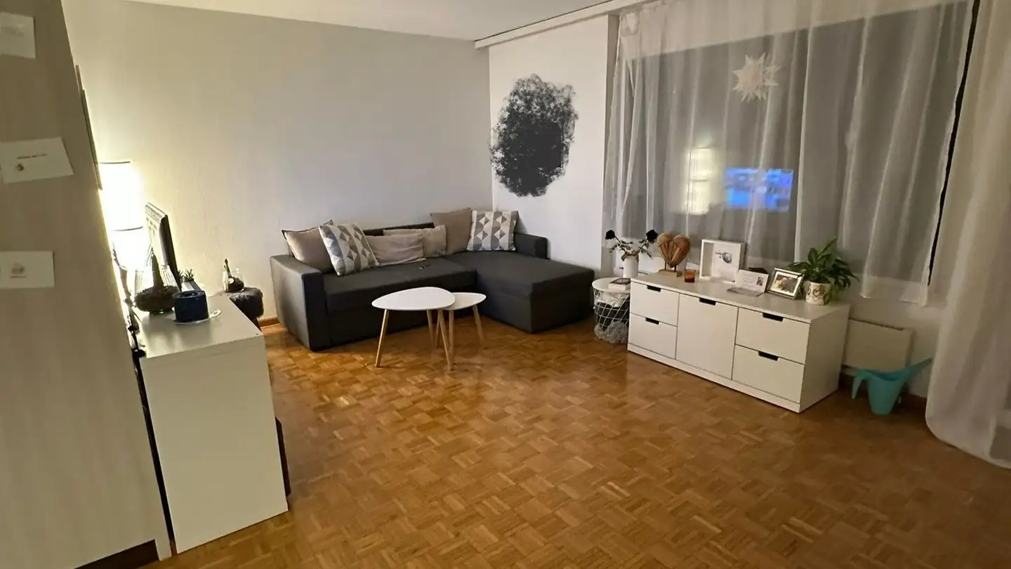 Appartamento in affitto - In Lampitzäckern 24, 8305 Dietlikon - Foto 4