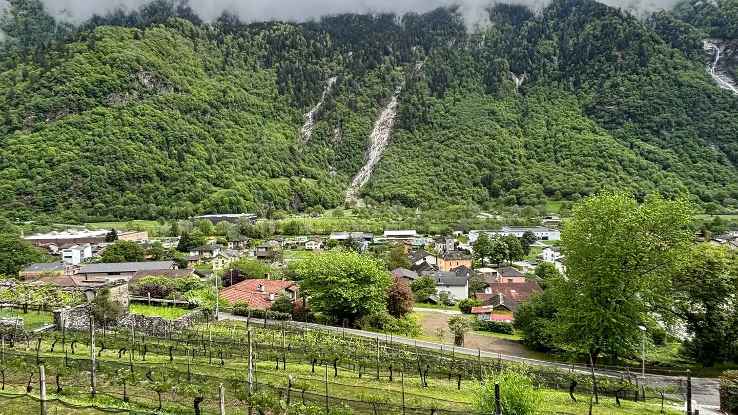 Terreno edificabile commerciale in vendita - Stráda Francísca, 6558 Lostallo - Photo 3