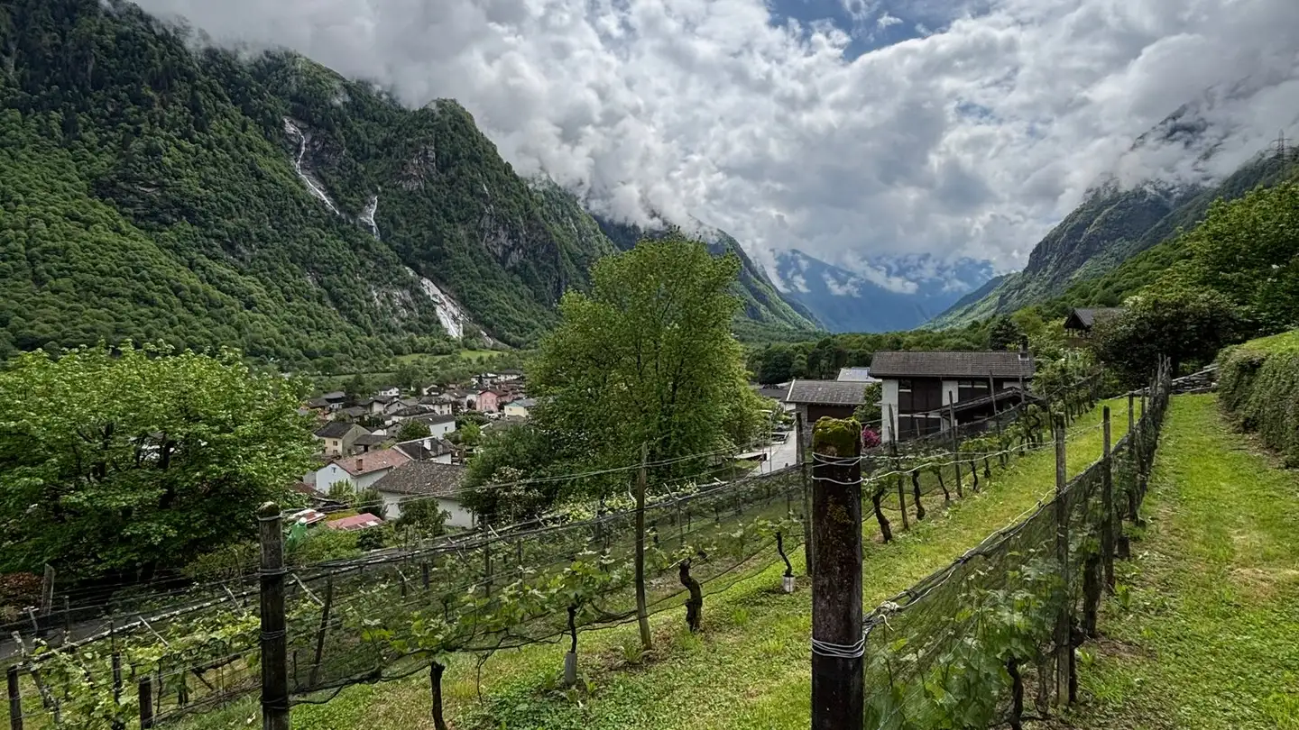 Terreno edificabile commerciale in vendita - Stráda Francísca, 6558 Lostallo - Photo 2