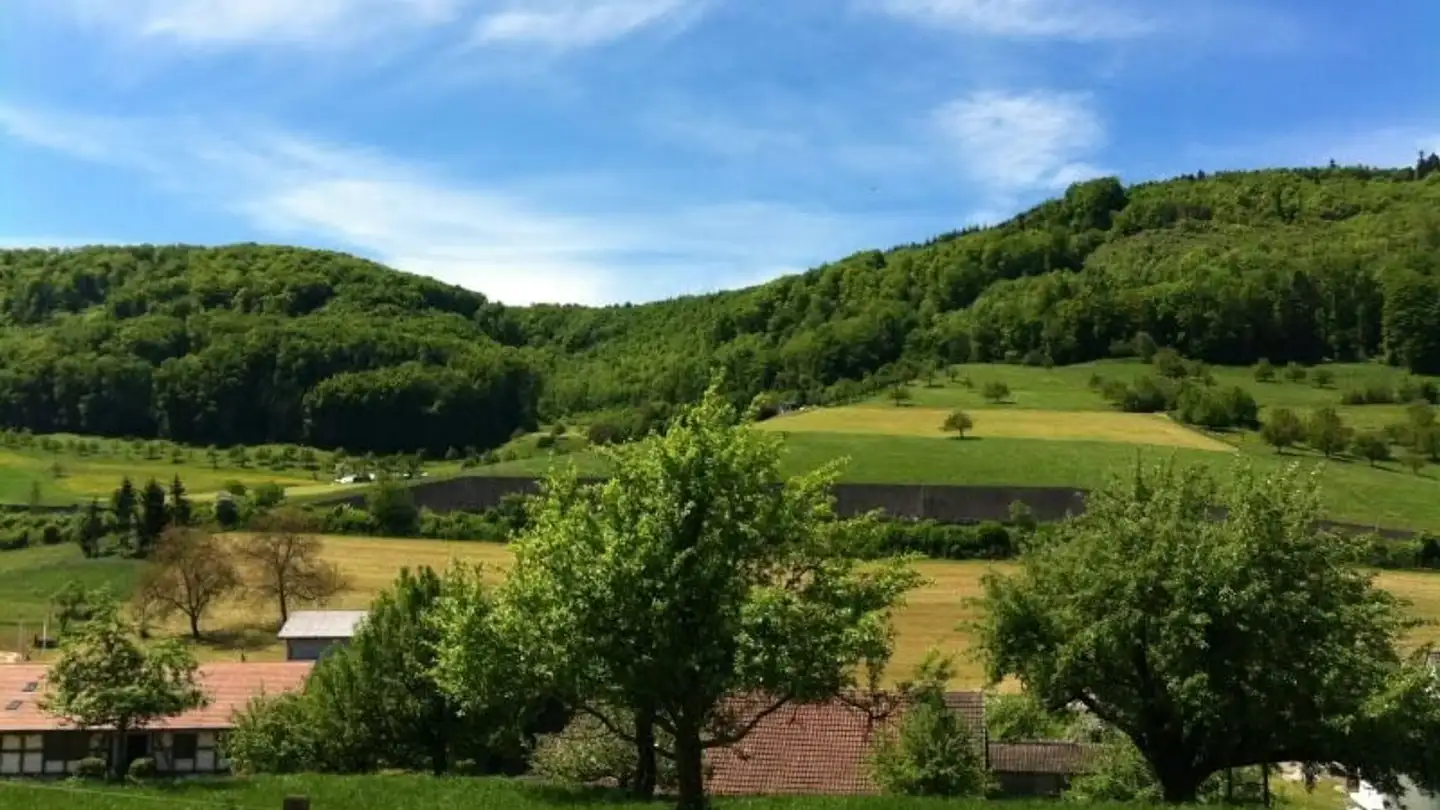 Maison individuelle à vendre - Speichmattweg 17, 4422 Arisdorf - Photo 3