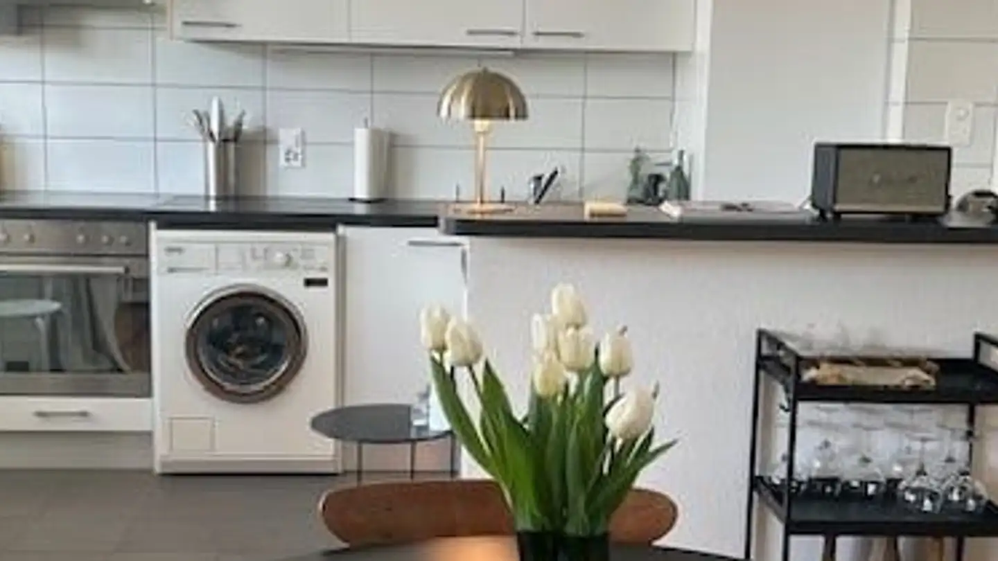 Attic flat for rent - Avenue De Sainte-Clotilde 19, 1205 Genève - Photo 4