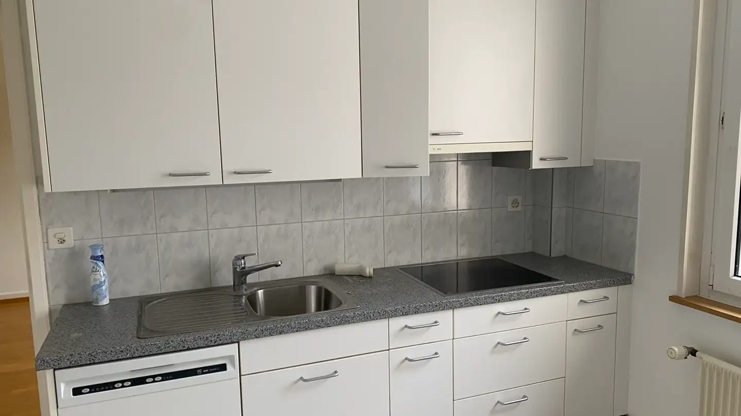 Appartamento in affitto - Metzerlenstrasse 11, 4115 Mariastein - Photo 4