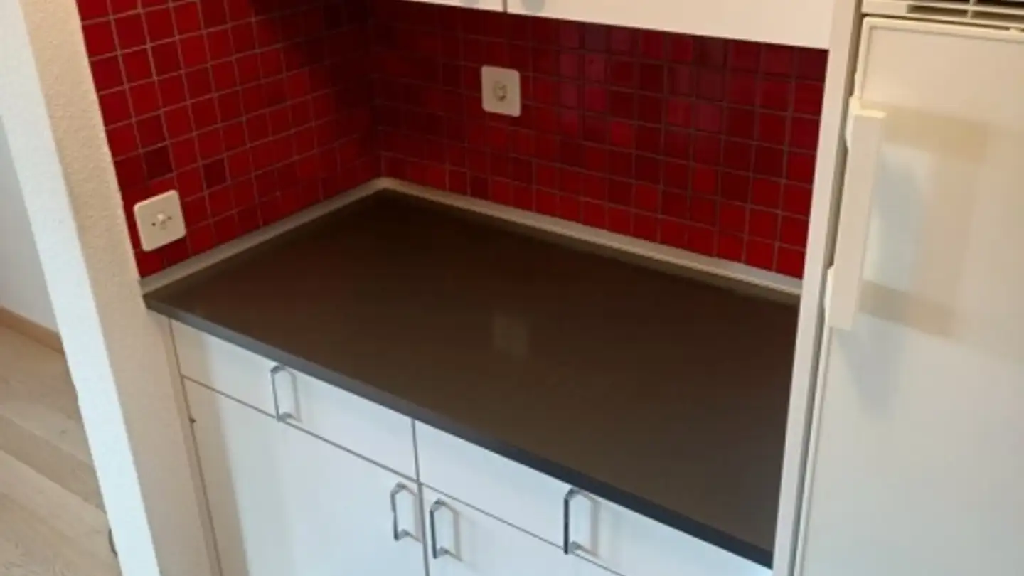 Appartamento in affitto - Sonnenbergstrasse 30, 8102 Oberengstringen - Photo 3