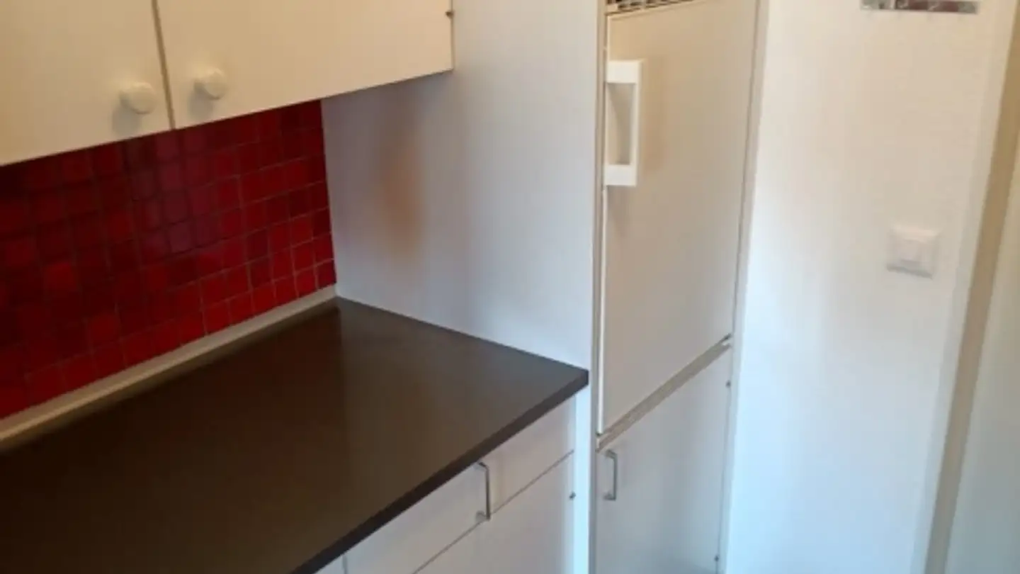 Appartamento in affitto - Sonnenbergstrasse 30, 8102 Oberengstringen - Photo 4