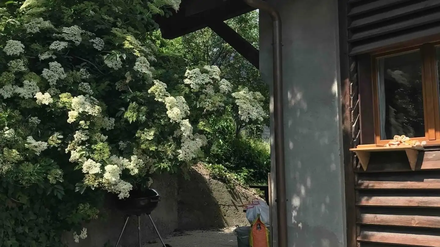 Casa singola in affitto - 3968 Veyras