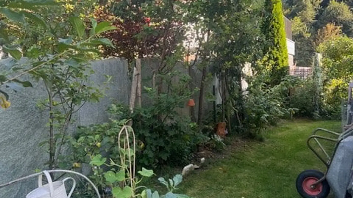 Einfamilienhaus kaufen - 7014 Trin - Foto 3