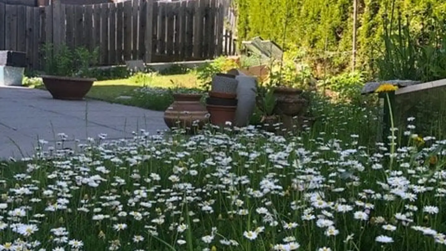 Einfamilienhaus kaufen - 7014 Trin - Foto 4