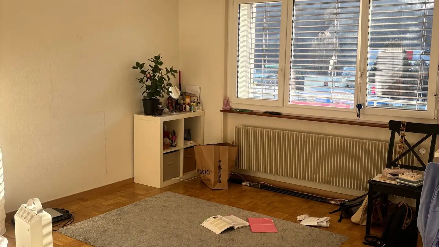 Appartamento in affitto - Chemin Du Verger-Du-Château 2, 1510 Moudon