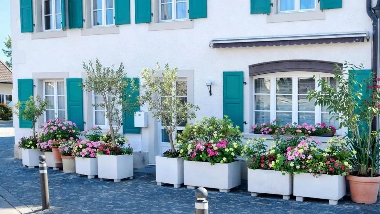 Casa singola in affitto - Place Du Village 5, 1295 Tannay