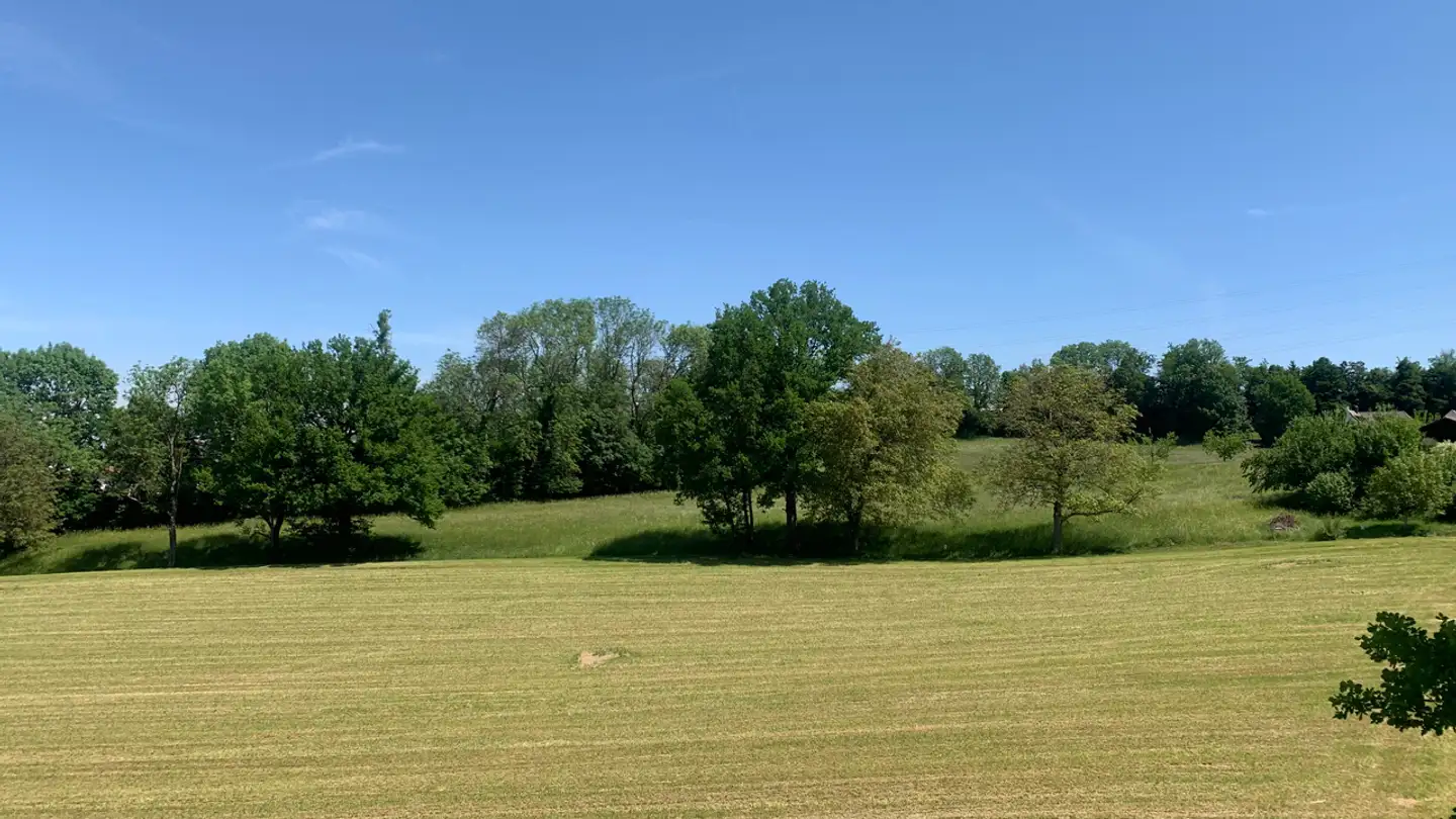 Edificio residenziale in vendita - Rue de l'Eglise 33, 1616 Attalens - Photo 4