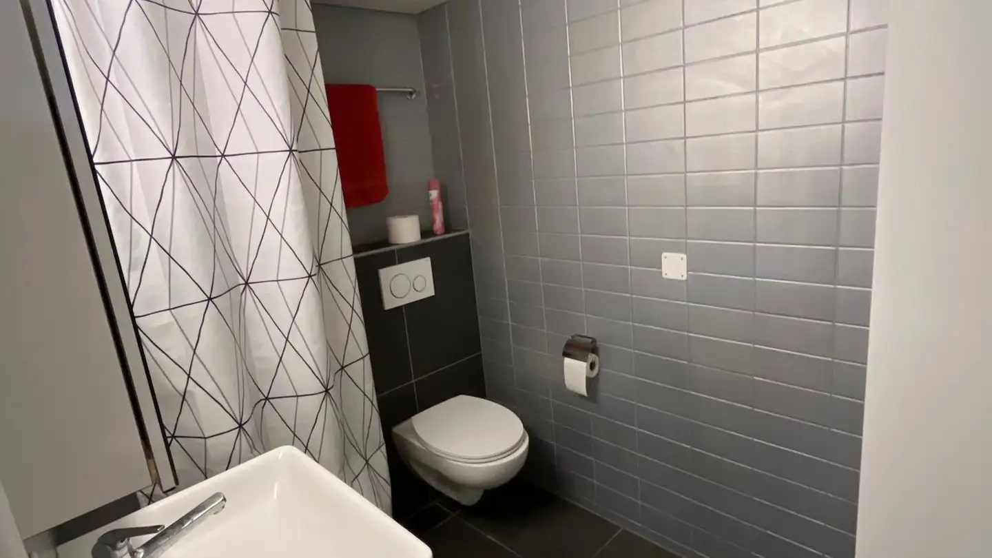 Spazio ufficio in affitto - Huebwiesenstrasse 20, 8954 Geroldswil - Photo 4